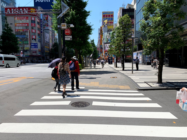 Protected: Our Adventure in Japan! Day 4: The Shibuya District, the National Art Center, Design Site, Ginza shopping area food halls, Karaoke!