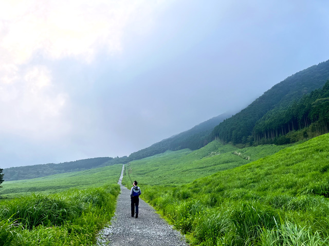 Protected: Our Adventure in Japan! Day 6: Hakone: wetlands, Pola Museum, Soba restaurant, on the train to Kyoto