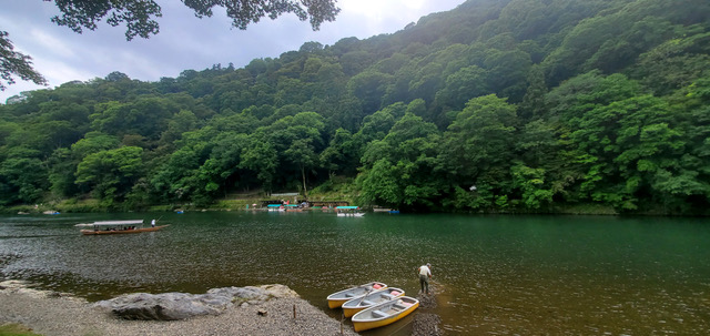 Protected: Our Adventure in Japan Day 6 second part: Textile studio, Fukuda Art Museum, some street food, Fushimi Inari-taisha Shrine, dinner at the Izakaya